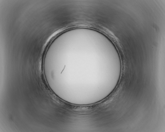 X0000113741174200909230940