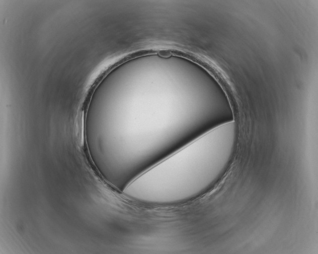 X0000113741175200909230939