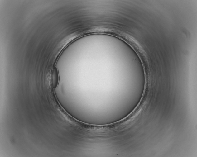 X0000113741177200909230939