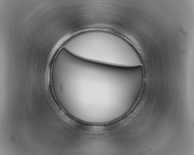 X0000113741180200909230939