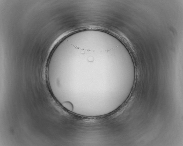 X0000113741182200909230939