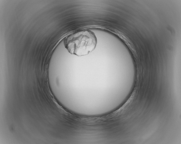 X0000113741185200909230939