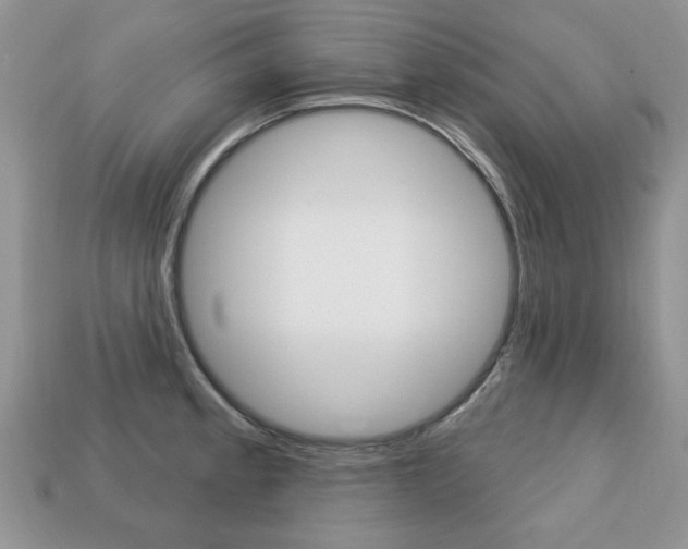 X0000113741189200909230939