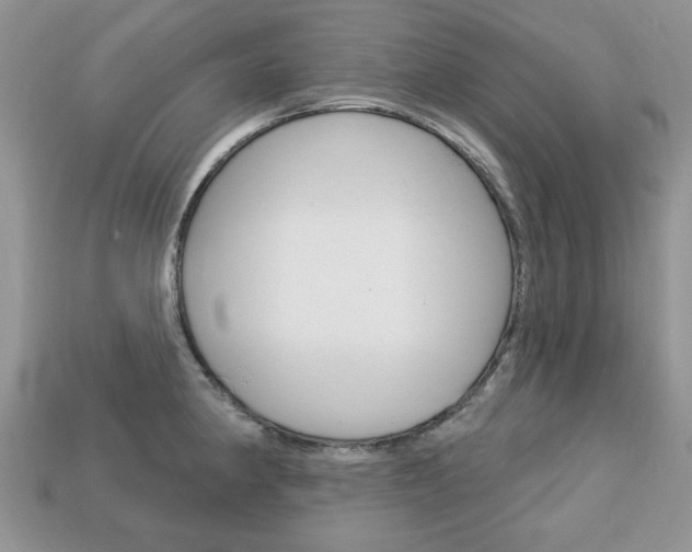 X0000113741190200909230939