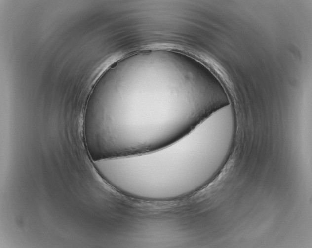 X0000113741193200909230939
