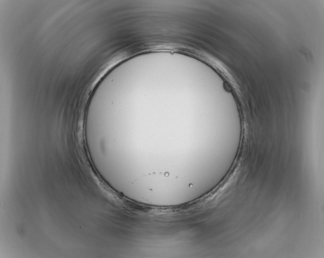 X0000113741194200909230939