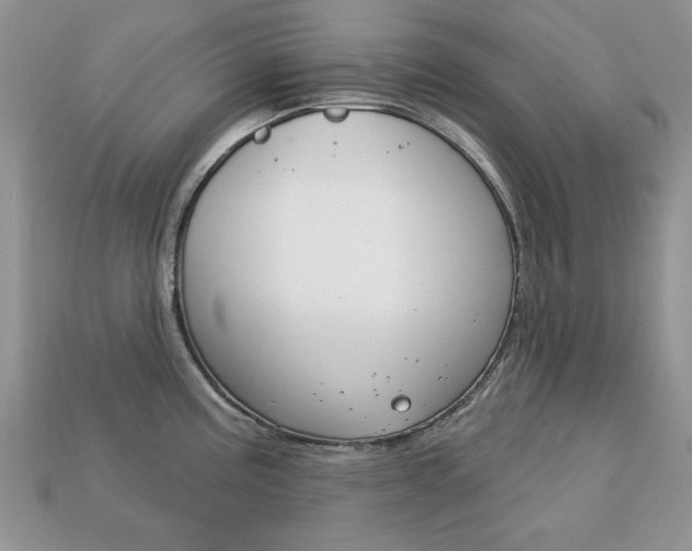 X0000113741195200909230939