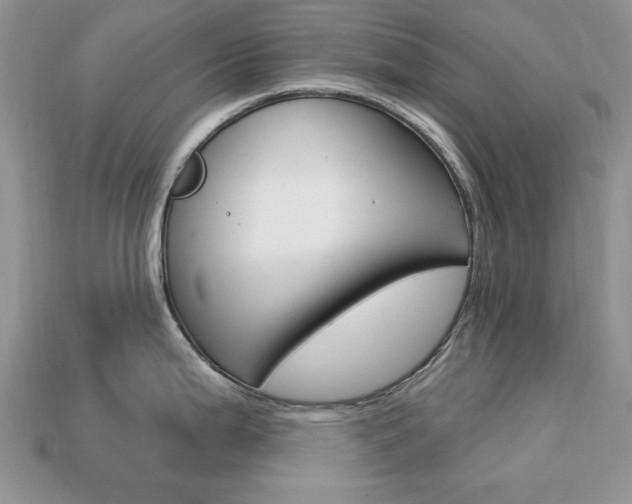 X0000113741199200909230939