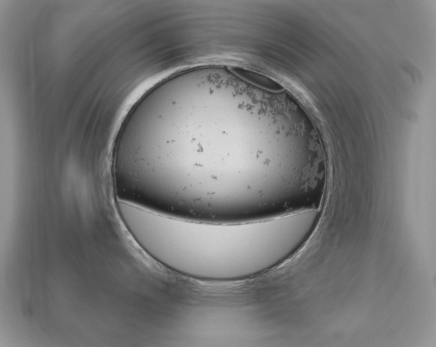 X0000113741200200909230939