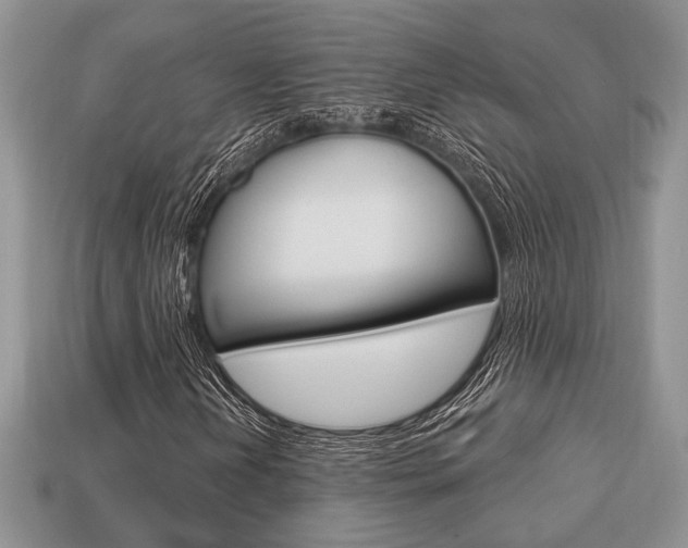 X0000113741202200909230939