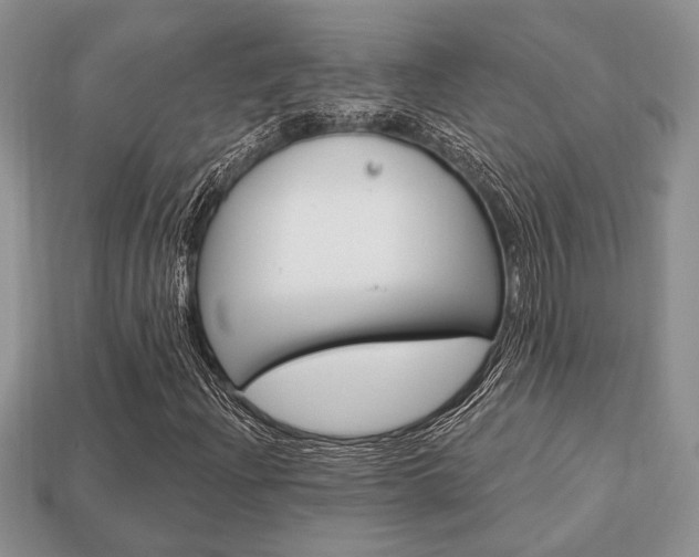 X0000113741204200909230939