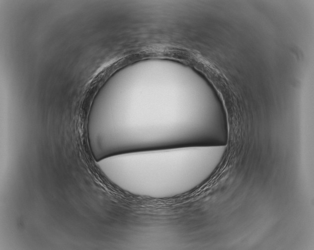 X0000113741206200909230939