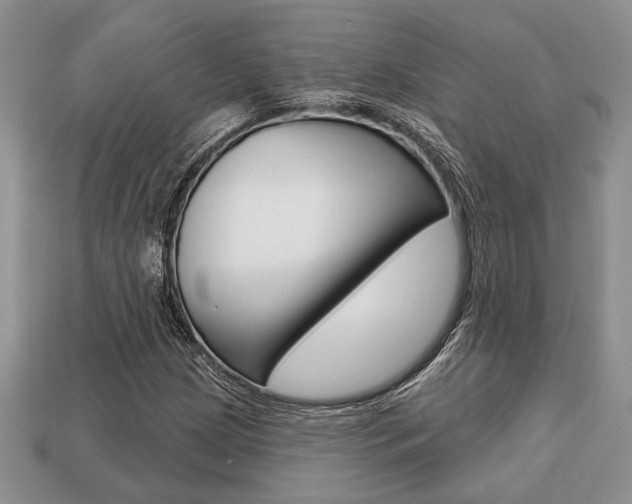 X0000113741209200909230939