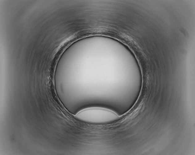 X0000113741210200909230939
