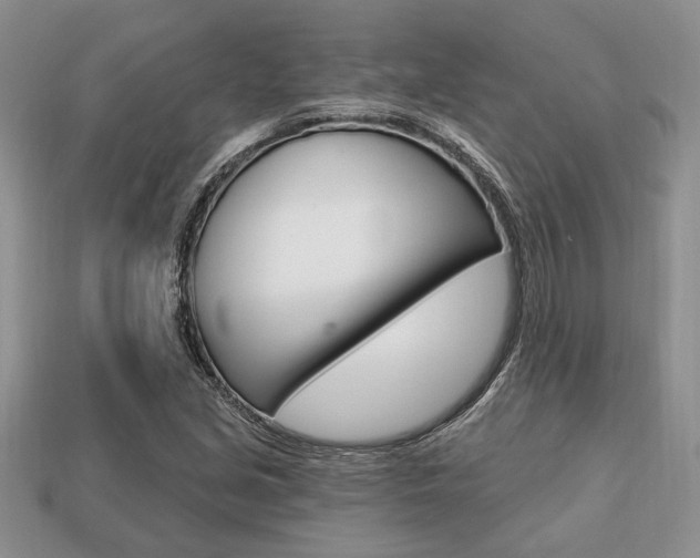 X0000113741213200909230939
