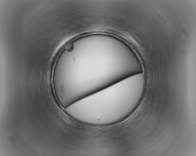 X0000113741216200909230939