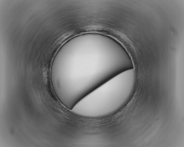 X0000113741217200909230939