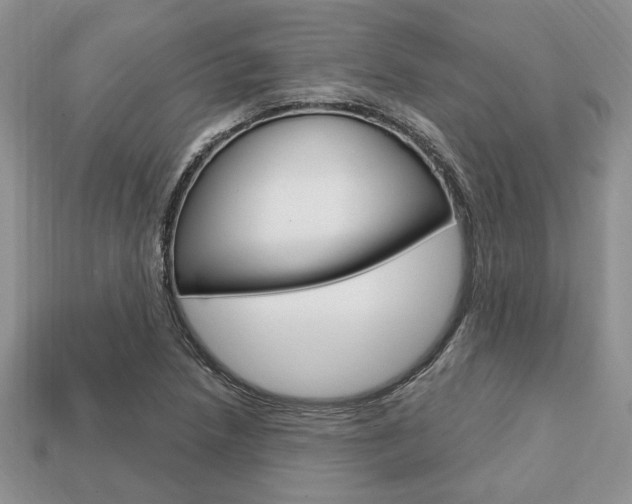 X0000113741218200909230939