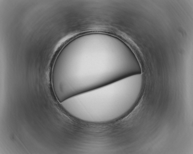 X0000113741222200909230939