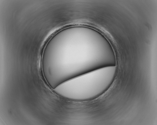 X0000113741224200909230939