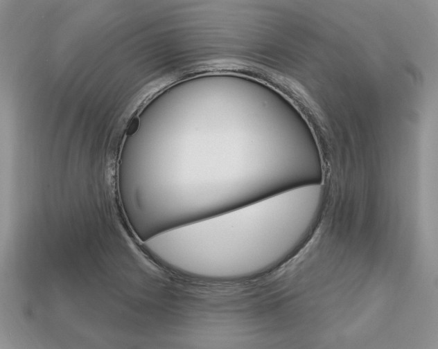 X0000113741225200909230939