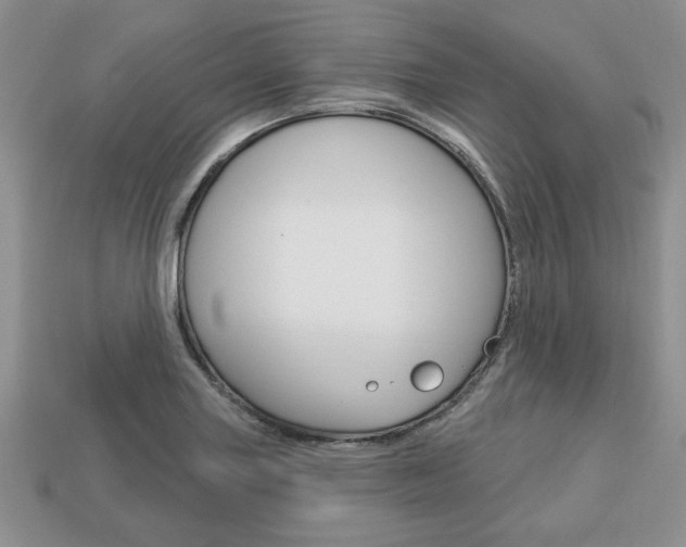 X0000113741227200909230939