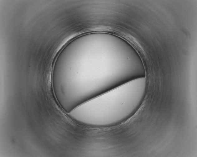 X0000113741228200909230939