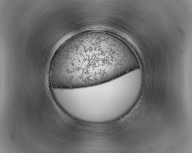 X0000113741229200909230939