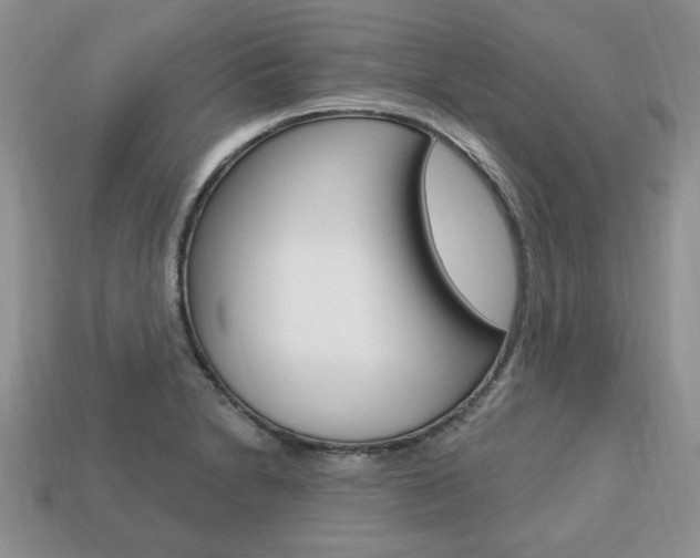 X0000113741230200909230939
