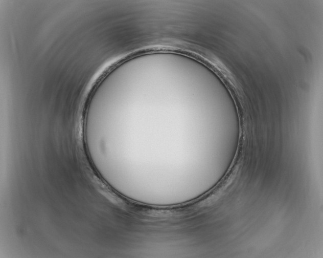 X0000113741232200909230939