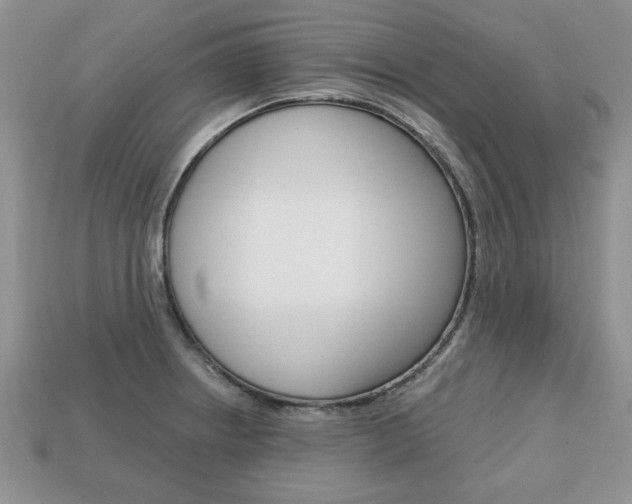 X0000113741234200909230939