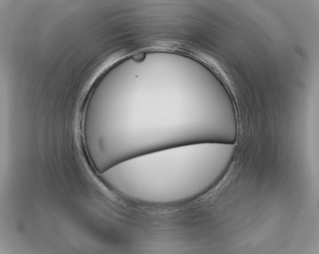 X0000113741235200909230939
