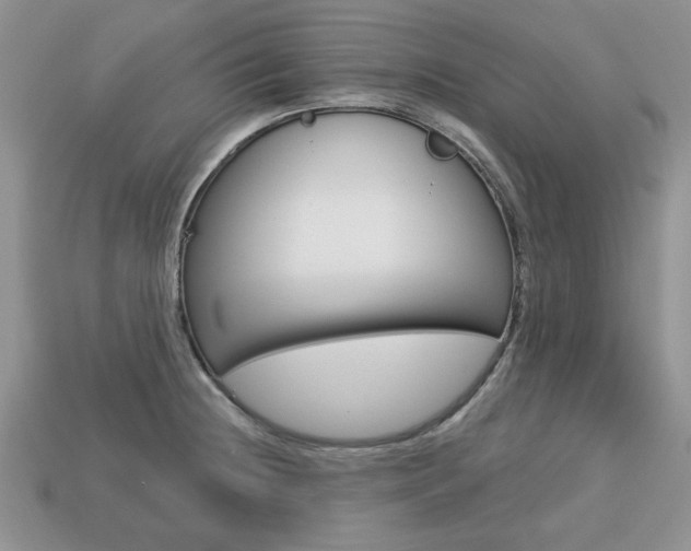 X0000113741236200909230939