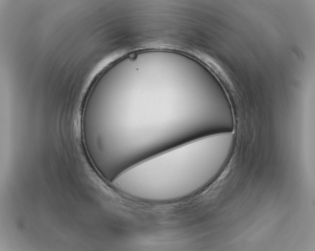 X0000113741238200909230939