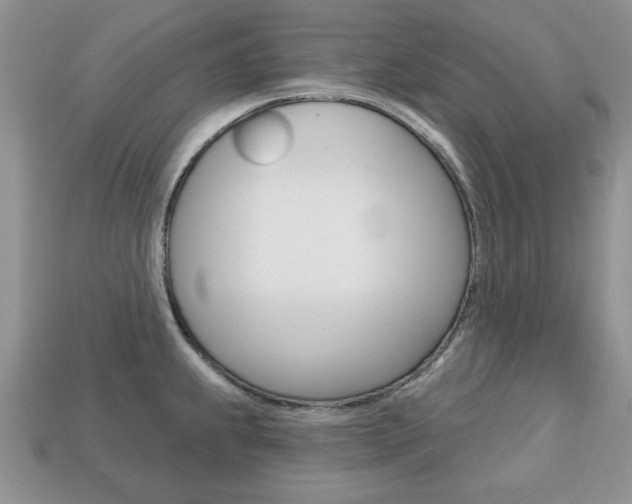 X0000113741239200909230939
