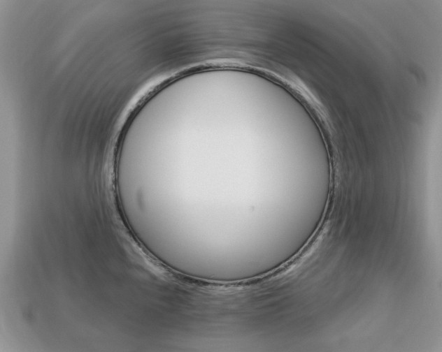 X0000113741240200909230939