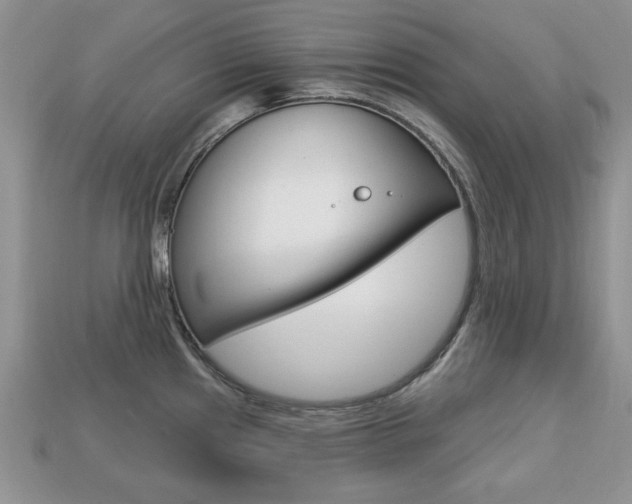 X0000113741241200909230939