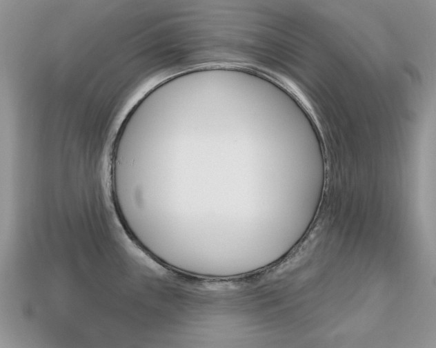 X0000113741243200909230939