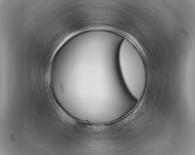 X0000113741244200909230939