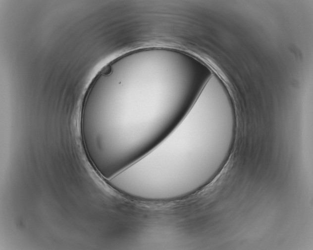 X0000113741246200909230939