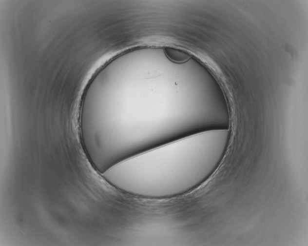 X0000113741248200909230939