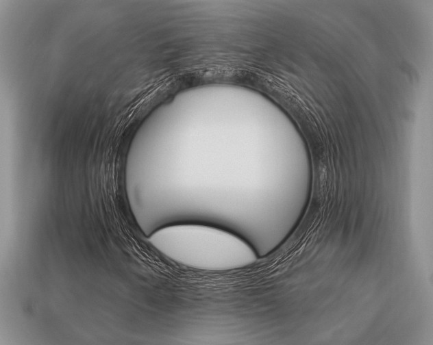 X0000113741250200909230939