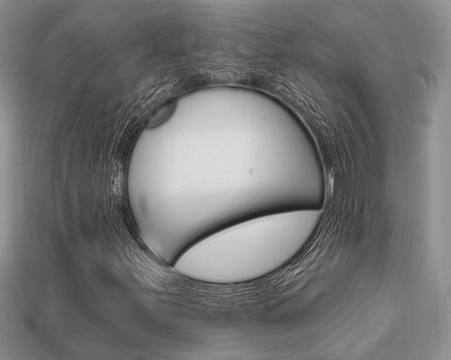 X0000113741251200909230939