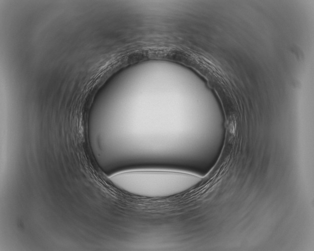 X0000113741252200909230939