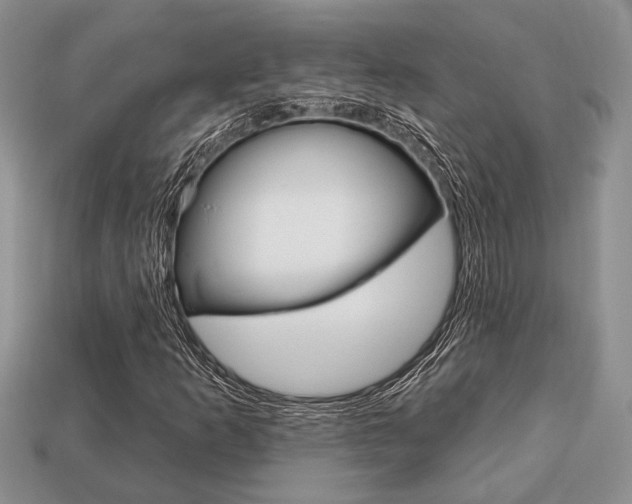 X0000113741253200909230938