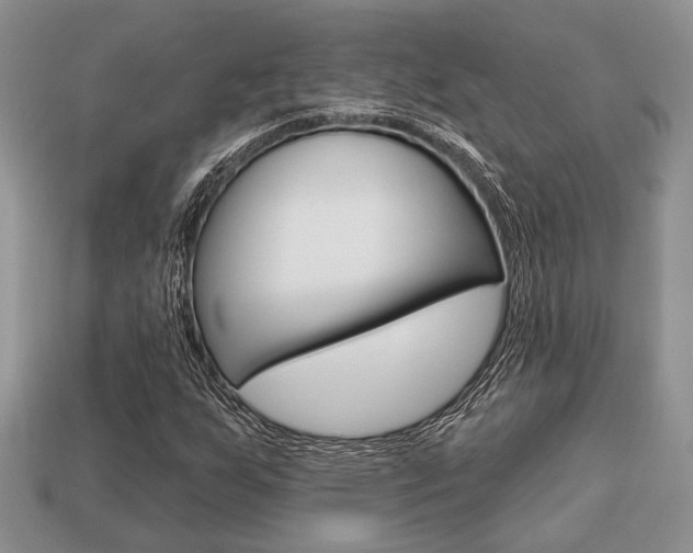 X0000113741255200909230938