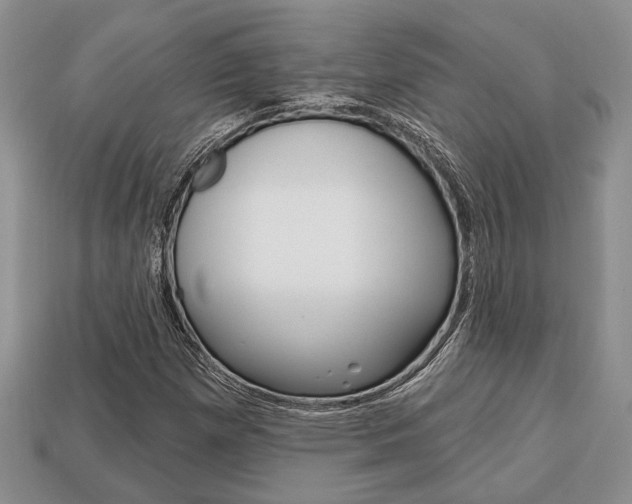 X0000113741257200909230938