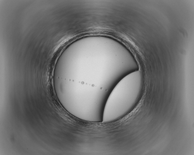 X0000113741259200909230938
