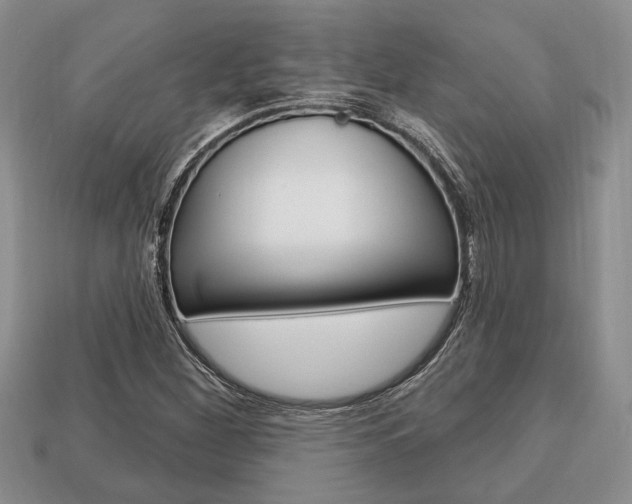 X0000113741260200909230938