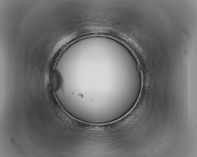 X0000113741261200909230938